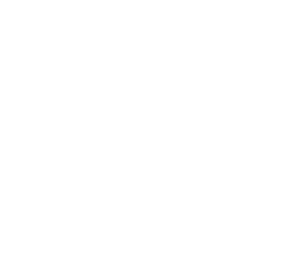 White IT Logo